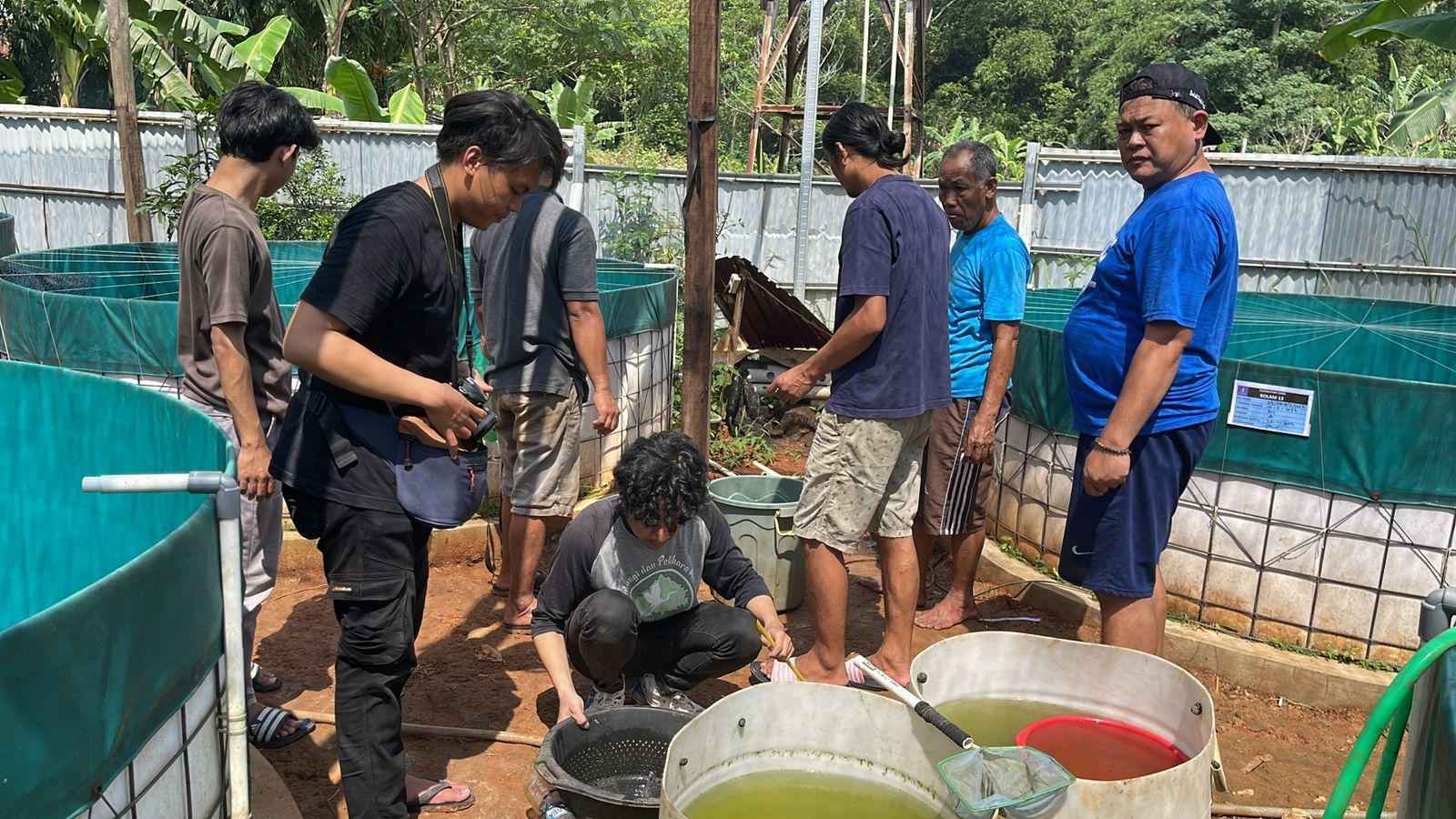 Desa Berdaya - Budidaya Ikan